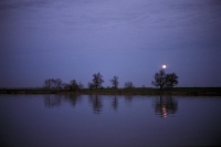 http://www.virguleflottante.com/files/gimgs/th-9_Rochefort (2)-repique.jpg